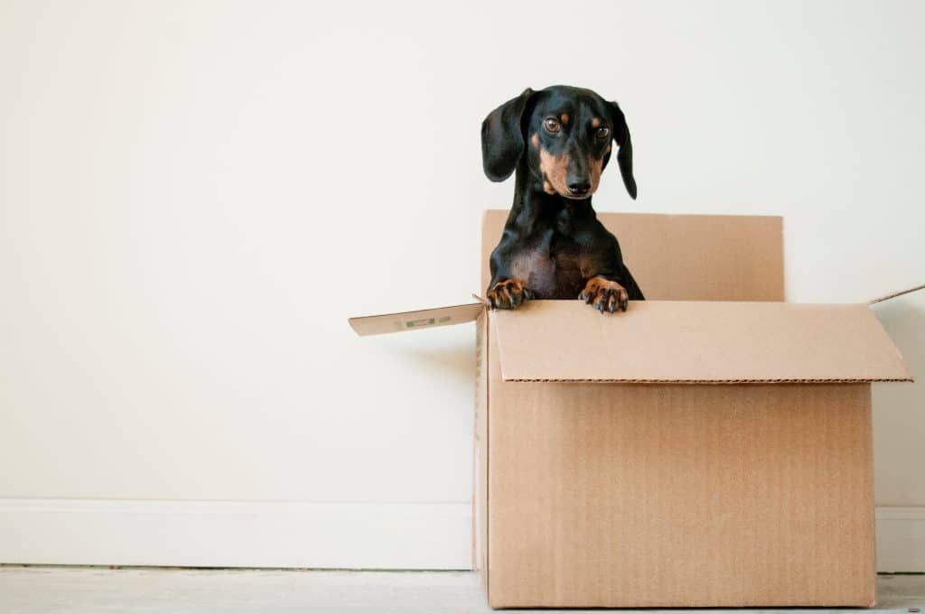 Self Storage Doncaster